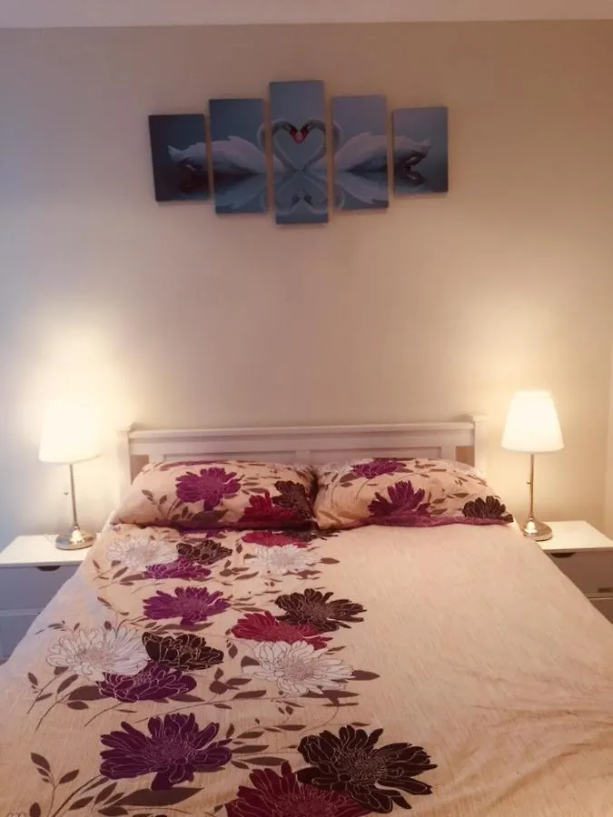 Adelaide Cbd 1 Bedroom Apt. Free Car Park&Swimming Pool &Wifi 0*,